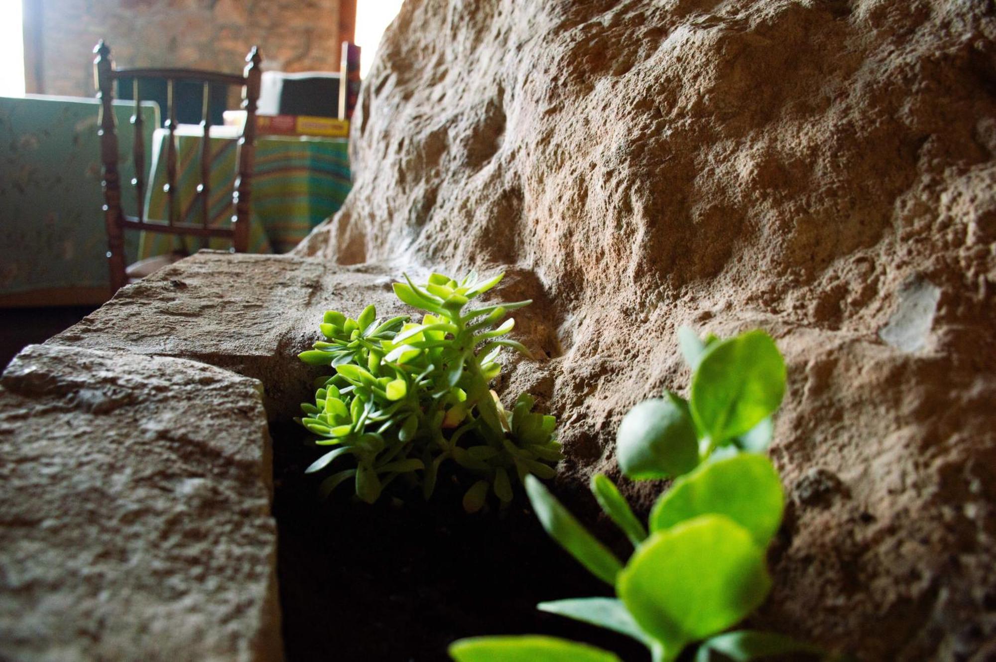 Vila La Casita Del Cinglo Obispo Hernandez Exteriér fotografie